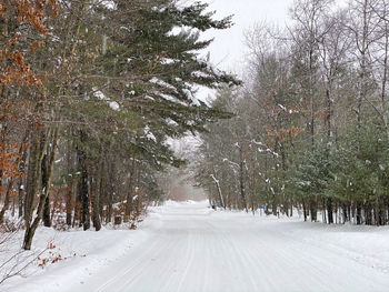 Snow covered road amidst trees in forest