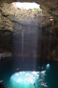 Reflection of trees in water