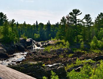 Scenic view of waterfall in forest against sky