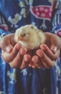 Close-up of hand holding baby