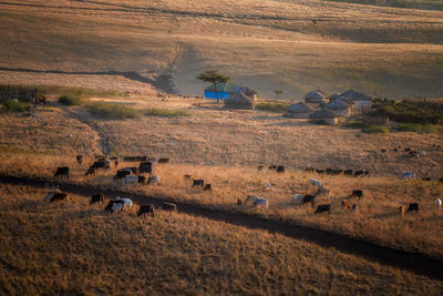 High angle view of beach