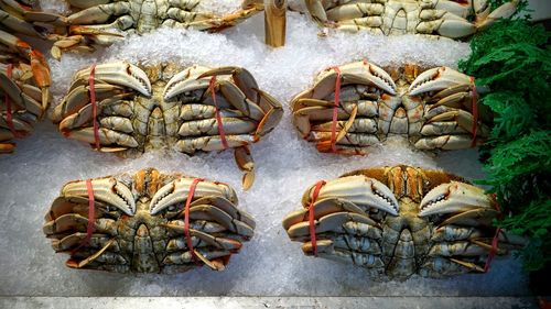Close-up of food for sale in market
