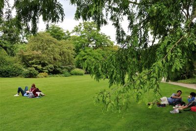 People sitting on grassy field at park