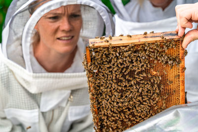 Close-up of beekeeper holding beehive