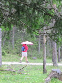 Man standing on tree trunk in forest