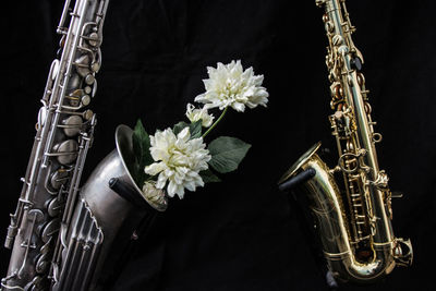 Saxophones with white flowers against black background