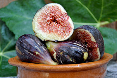 common fig