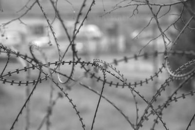 Close-up of barbed wire fence on field