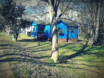 Trees and plants on field