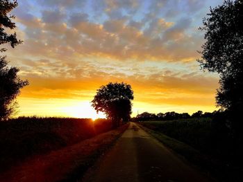 Road amidst silhouette trees against sky during sunset