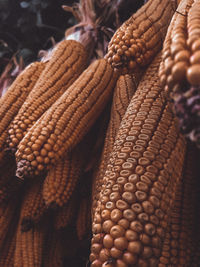 Close-up of dried fruits hanging at market stall