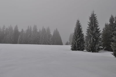 Trees on snow covered landscape against sky