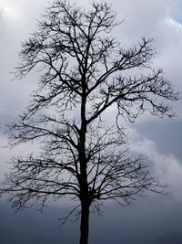 Low angle view of silhouette bare tree against sky