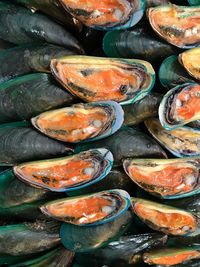 Close-up of fish for sale in market