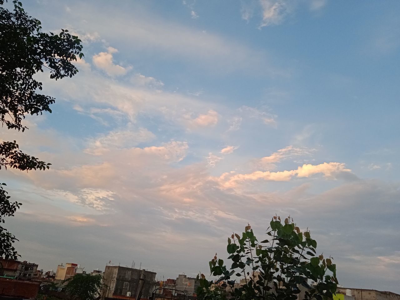 sky, cloud, tree, architecture, plant, nature, morning, sunlight, built structure, city, building exterior, horizon, dusk, building, no people, outdoors, beauty in nature, landscape, environment, travel destinations, travel