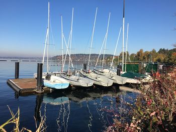 Sailboats moored in harbor
