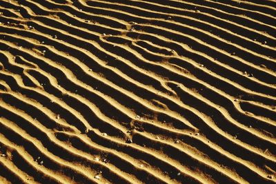 Full frame shot of sandy beach