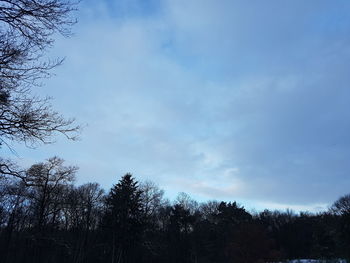 Low angle view of silhouette trees against sky