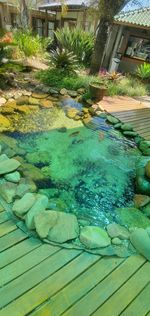 High angle view of swimming in pool