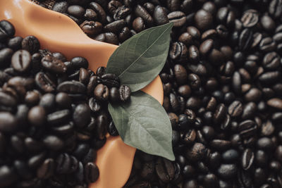 Close-up of coffee beans