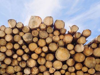 Stack of firewood