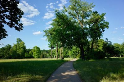 Road amidst trees on field against sky