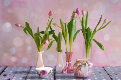 Close-up of potted plant on table