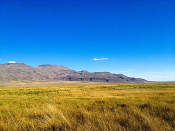 Scenic view of landscape against clear blue sky