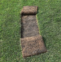 High angle view of stones on field in park