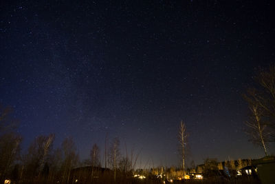 Low angle view of illuminated trees against sky at night