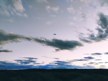 Low angle view of bird flying in sky