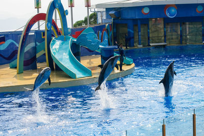 Swimming pool in sea