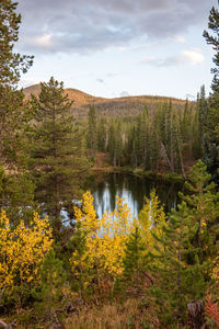 Scenic view of lake by trees against sky