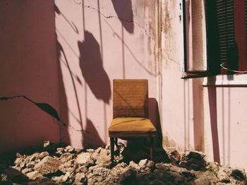 Shadow of cat on wall