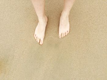 Low section of woman standing at beach