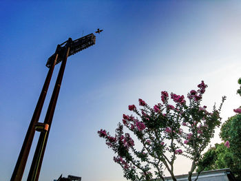 Low angle view of flower growing by floodlight against blue sky