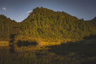 Scenic view of lake by trees against sky