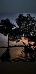 Silhouette trees by lake against sky during sunset