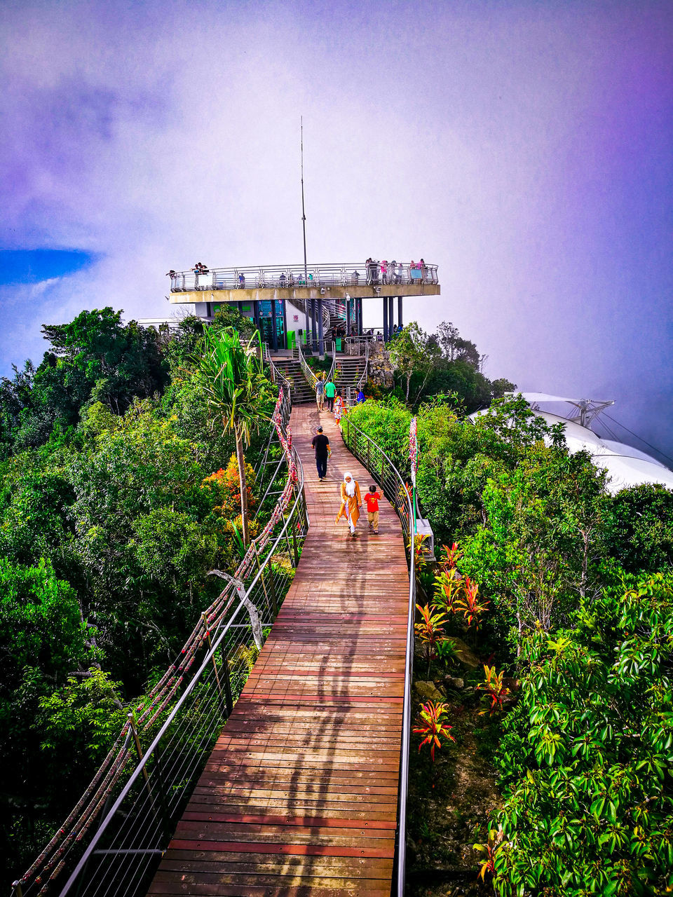 FOOTBRIDGE OVER PLANTS AGAINST SKY