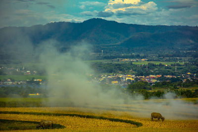 Daily life in tara bunga village near lake toba