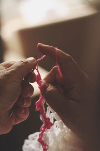 Close-up of hand holding red flowers