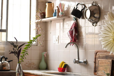 Potted plants hanging at home