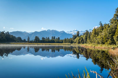 Reflection of trees in calm lake