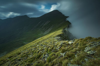 Alpine views from fagaras mountains, romania. summer carpathian landscapes.