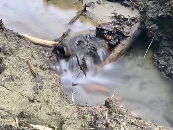 High angle view of water flowing through rocks