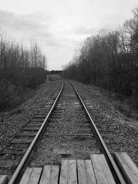 Railroad tracks in winter