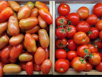 High angle view of tomatoes for sale at market stall