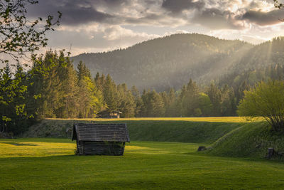 Scenic view of landscape against sky