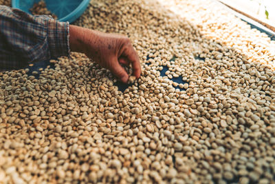 Close-up of man preparing food