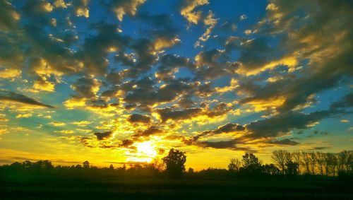 Silhouette trees on field against sky at sunset